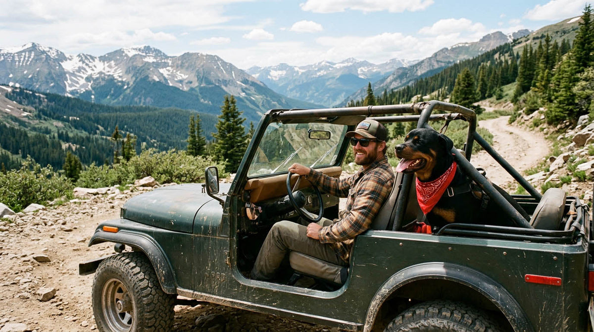 Taking Your Dog Along in a Jeep: Safety, Setup, and Keeping the Cab Livable