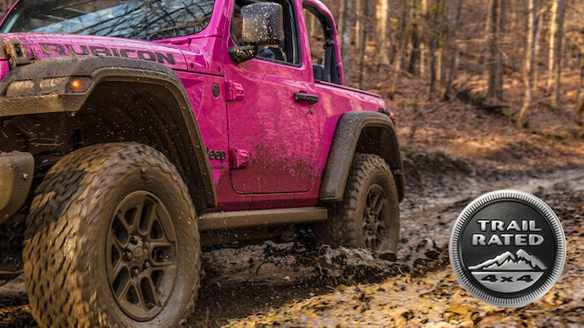 Silver and black Trail Rated badge on the front fender of a Jeep Wrangler, showing the five off-road capability icons
