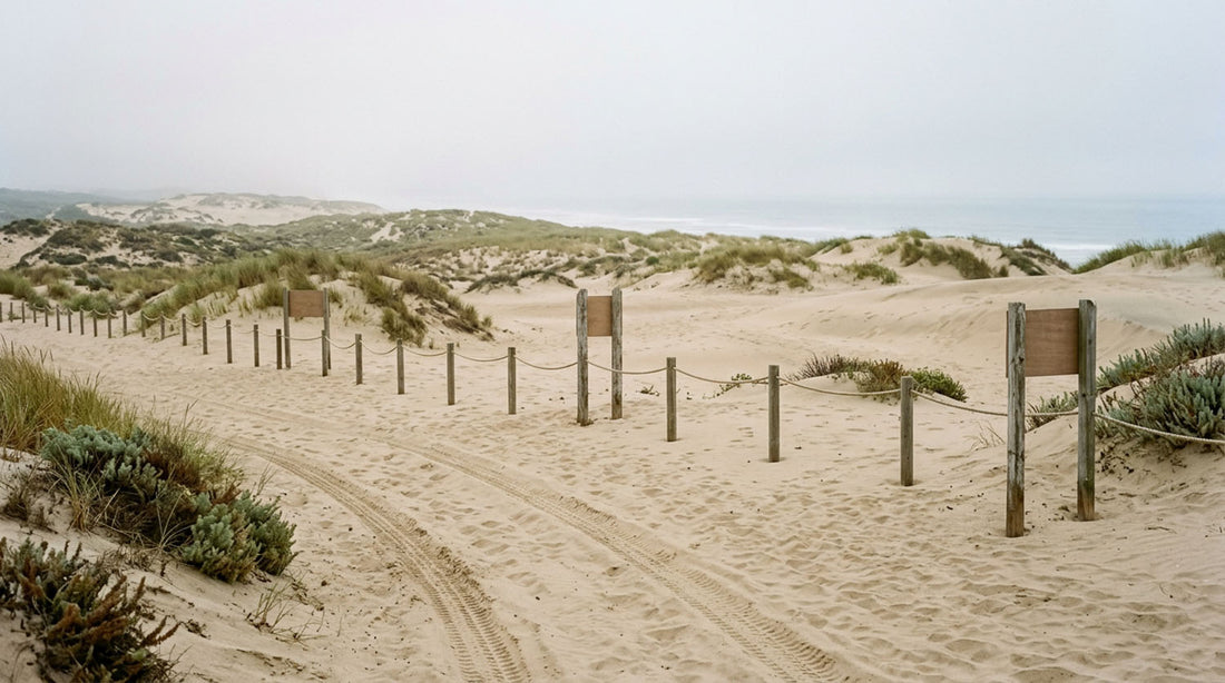Rope-and-post fencing closing off a section of coastal sand dune under overcast sky, with vehicle tire tracks running across the open sand on the near side of the fence