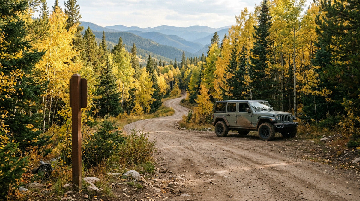 Jeep Wrangler parked on a dirt National Forest road through golden aspens and pines, the kind of route shaped by the Roadless Rule and Travel Management Rule