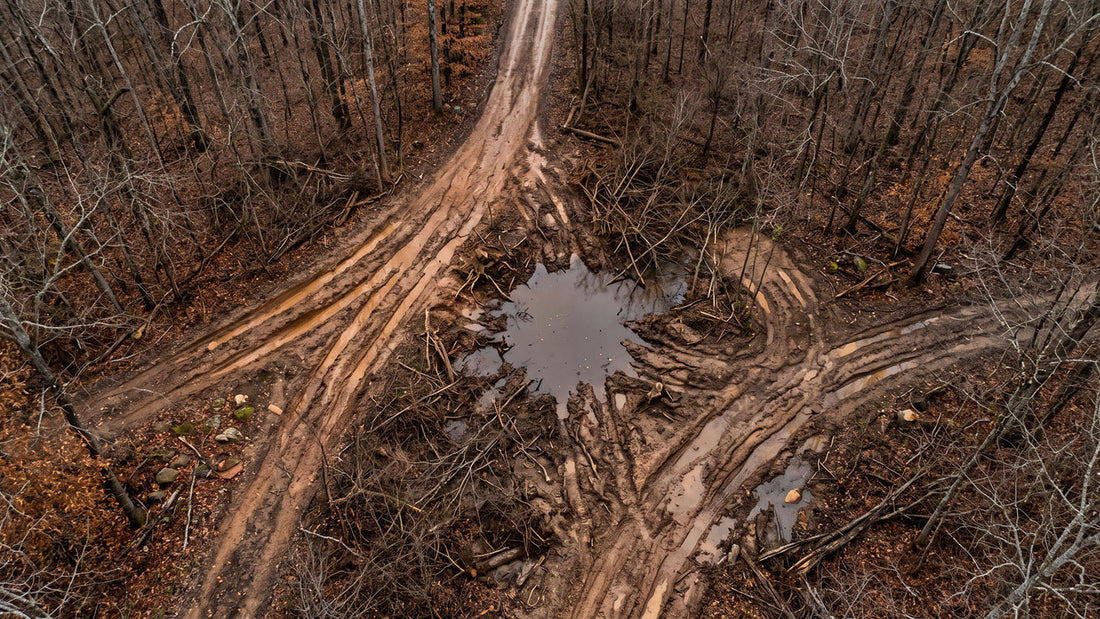 Aerial view of an off-road forest trail split into several braided parallel ruts fanning out around a water-filled mud hole