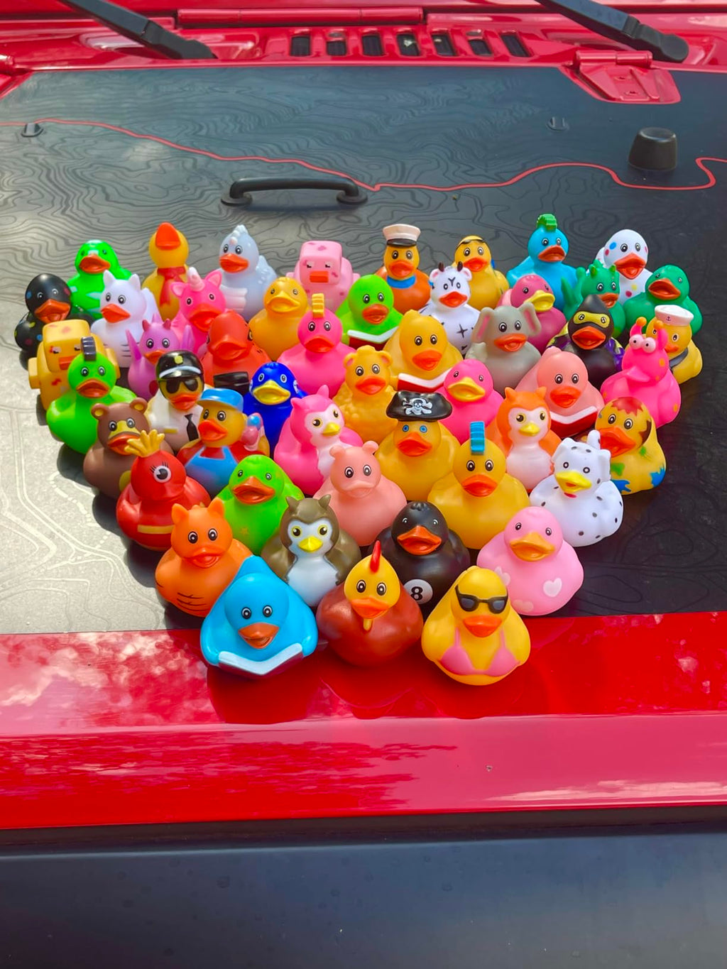 TrailDuck™ Bulk Jeep Ducks – Packs of 25, 50, 100, or 250 Rubber Ducks for Jeep Ducking Fun