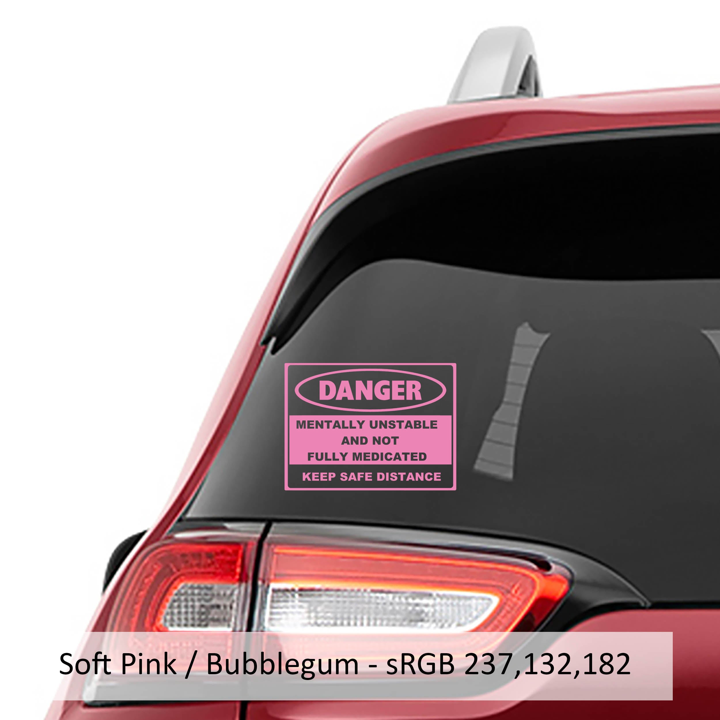 Danger Mentally Unstable and Not Fully Medicated Vinyl Decal