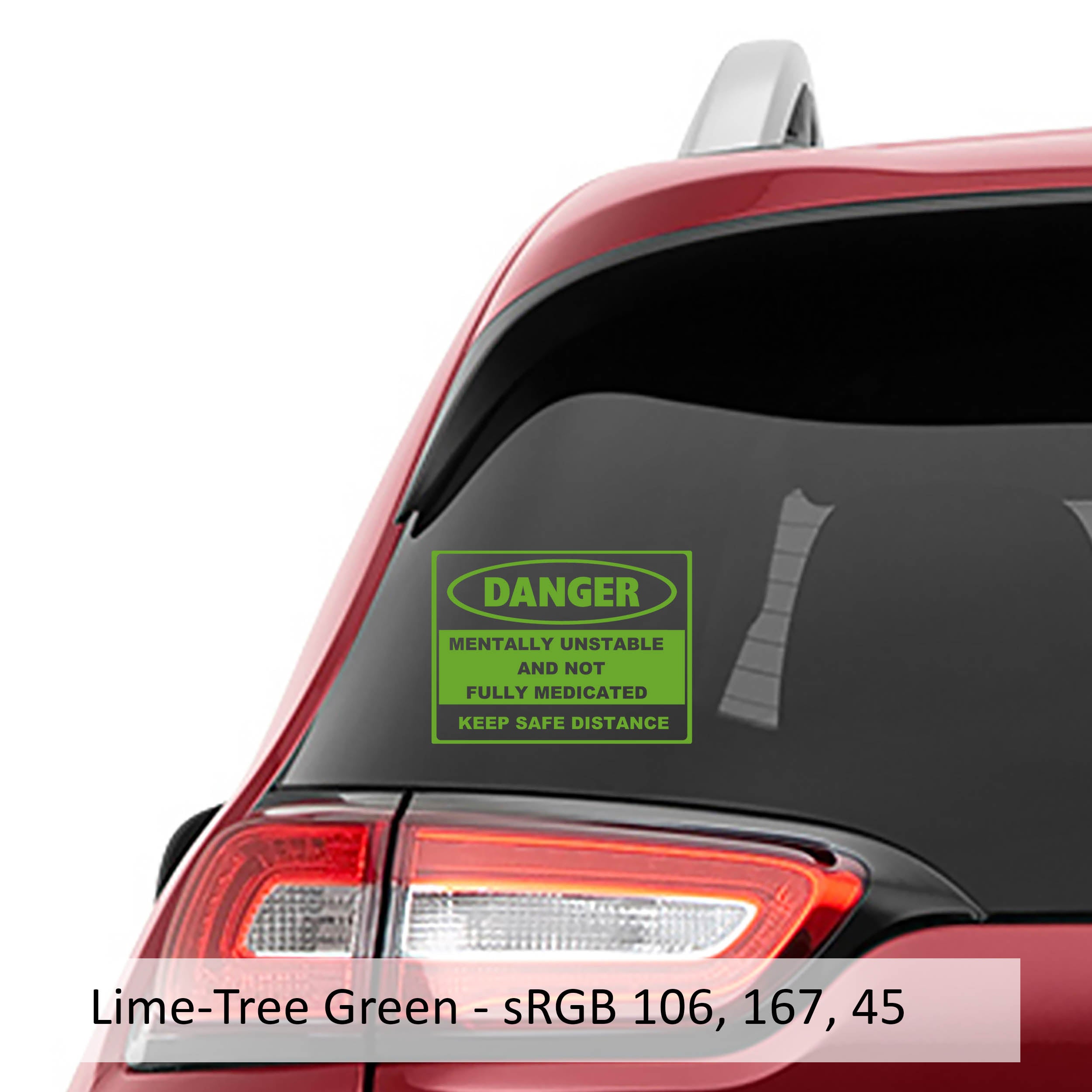 Danger Mentally Unstable and Not Fully Medicated Vinyl Decal