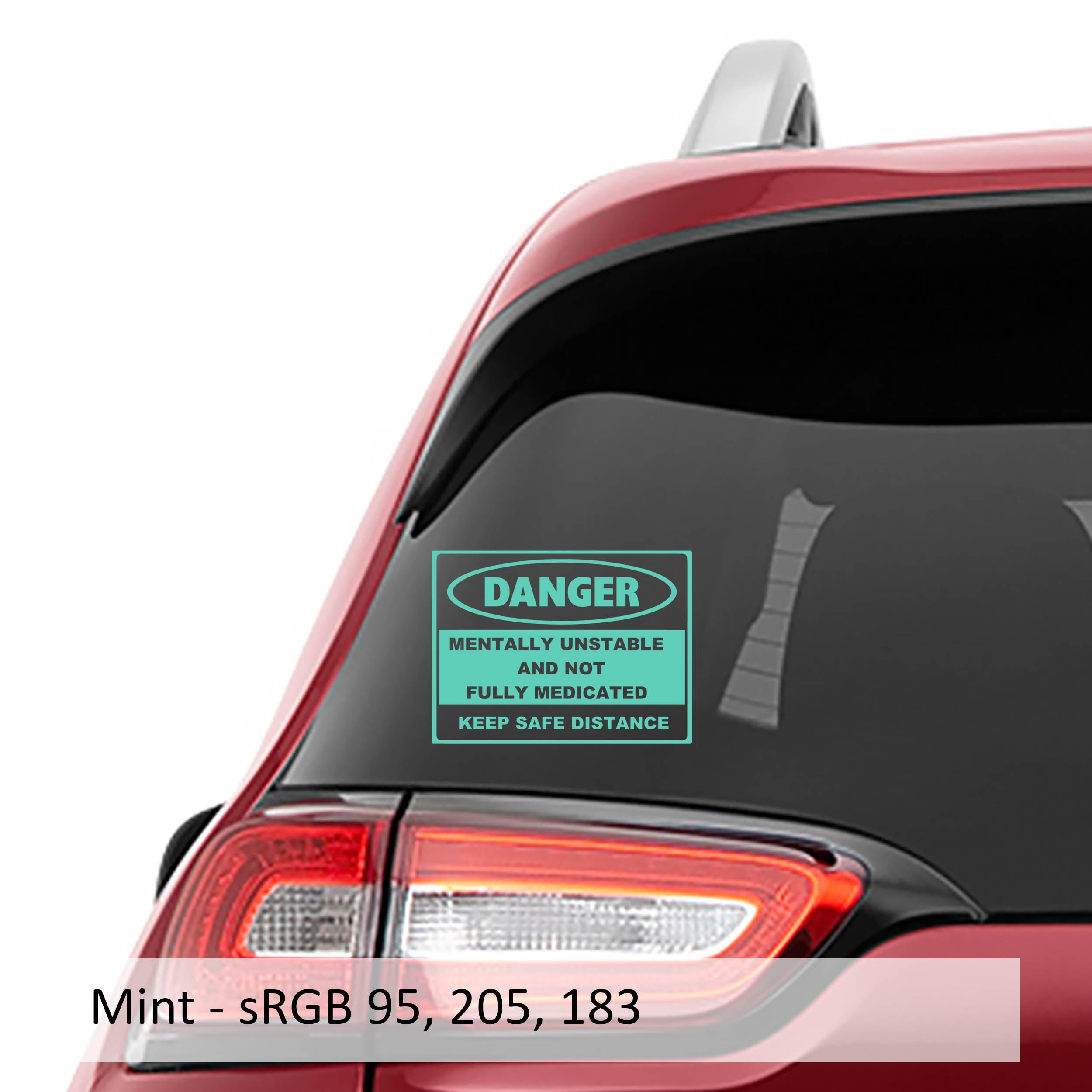 Danger Mentally Unstable and Not Fully Medicated Vinyl Decal