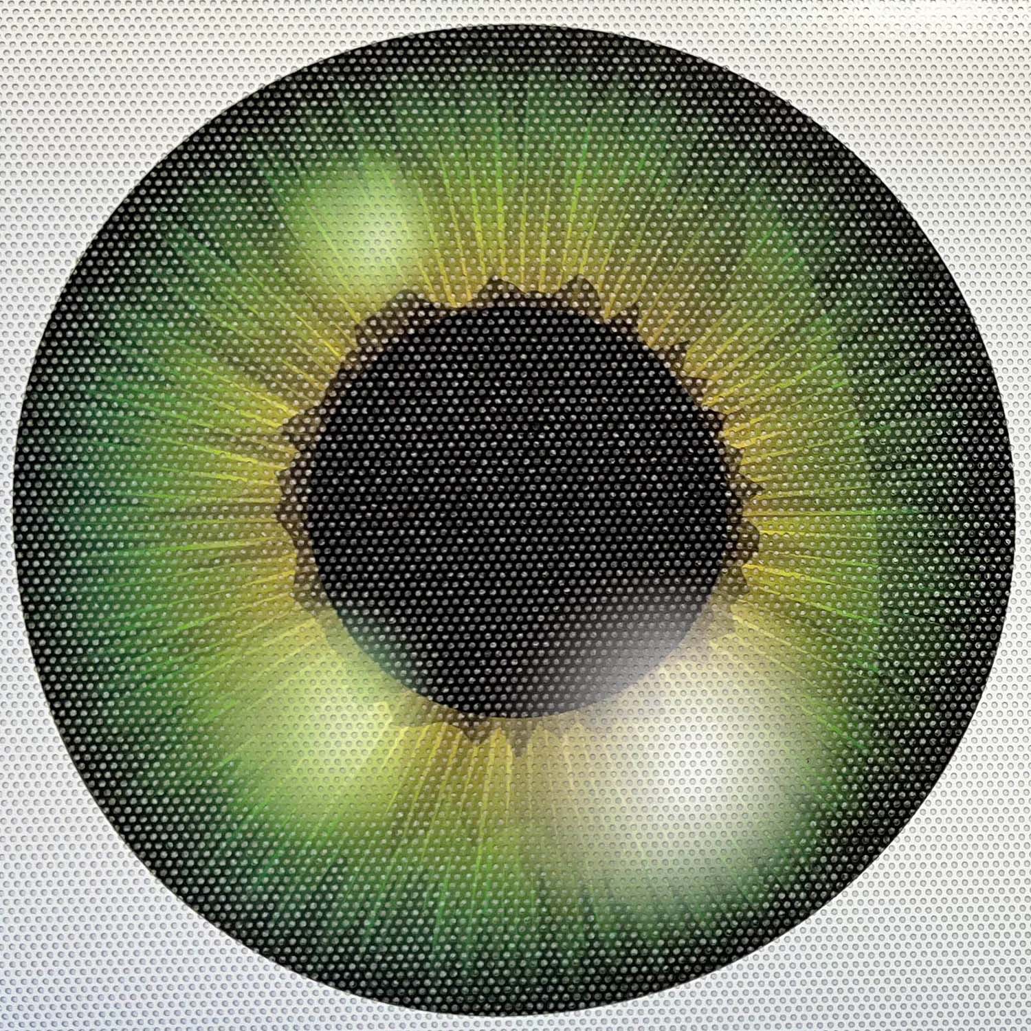 Eyeball Round Headlight Overlay Graphics Kit Vinyl Decal Cover 2 Piece Set