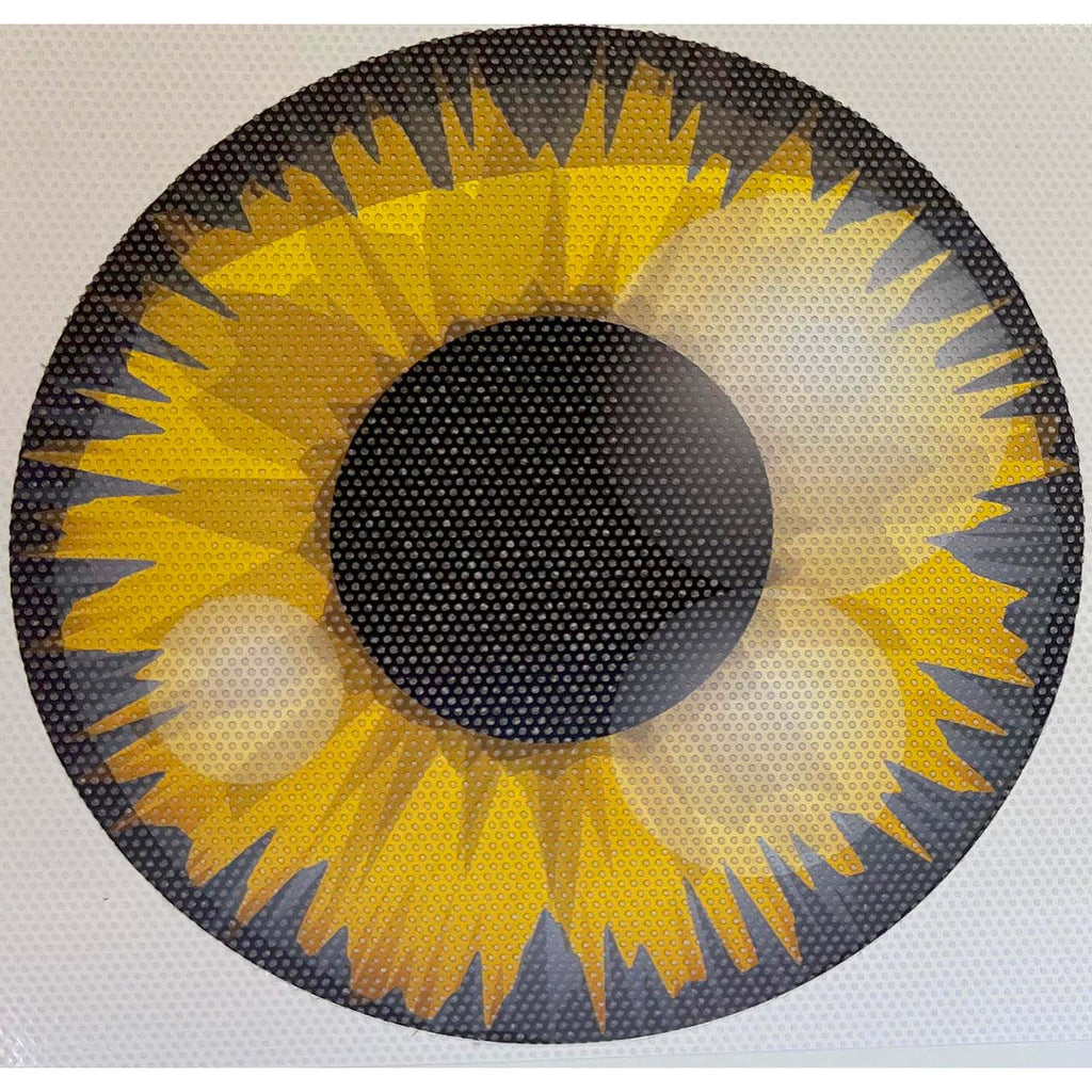 Eyeball Round Headlight Overlay Graphics Kit Vinyl Decal Cover 2 Piece Set