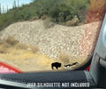 Buffalo Easter Egg Companion Windshield Chaser Vinyl Decal