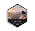 Hexagon Acadia National Park Maine vinyl sticker with a bald eagle perched on a cliff above the coast at sunrise