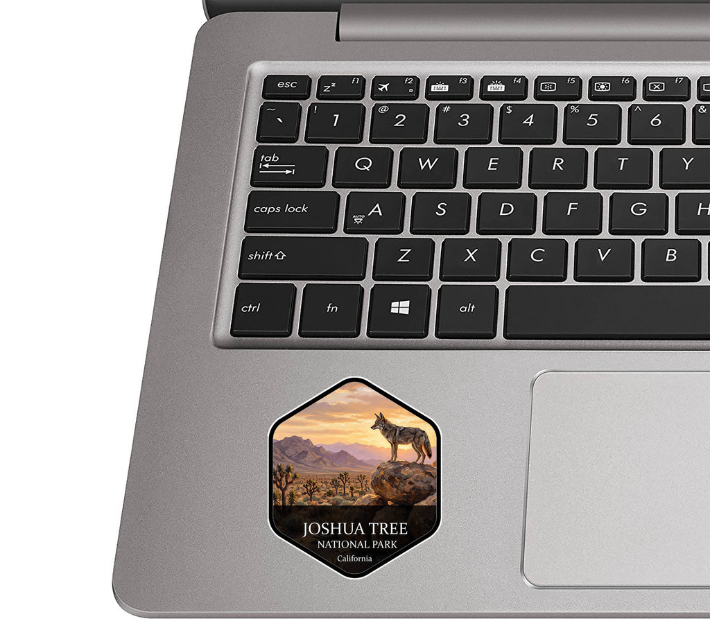 Joshua Tree National Park badge sticker applied to the palm rest of a silver laptop