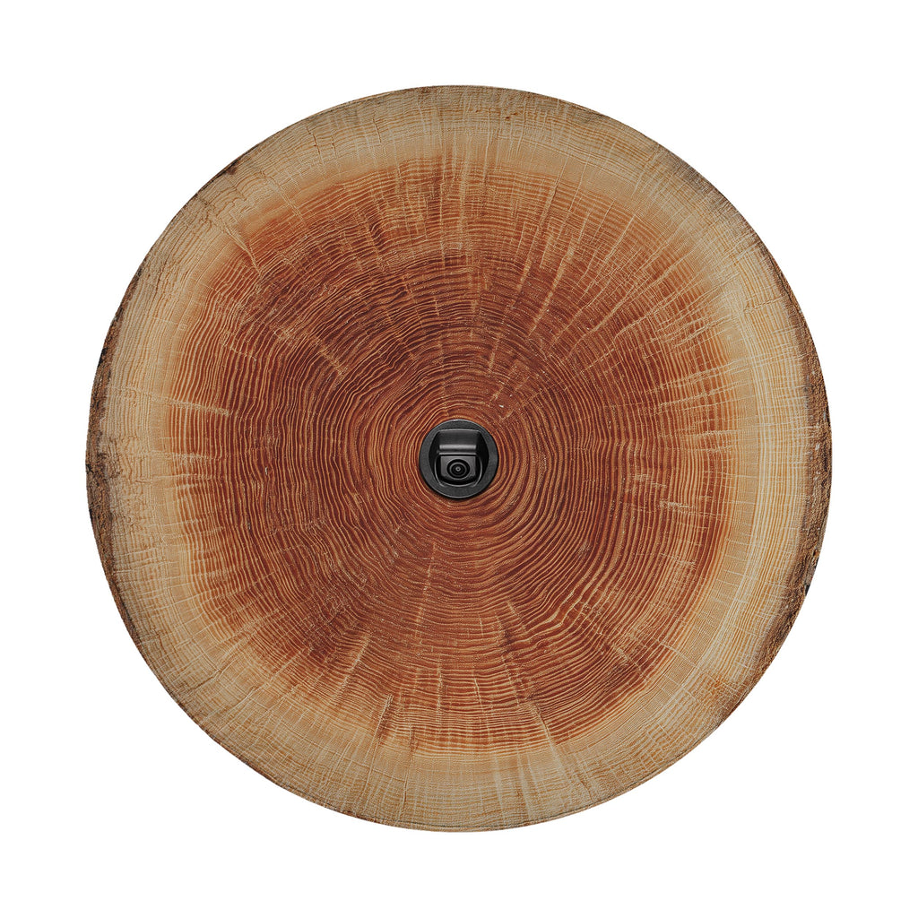 a close-up view of a wooden tree trunk or branch, with a black camera or lens visible in the center.