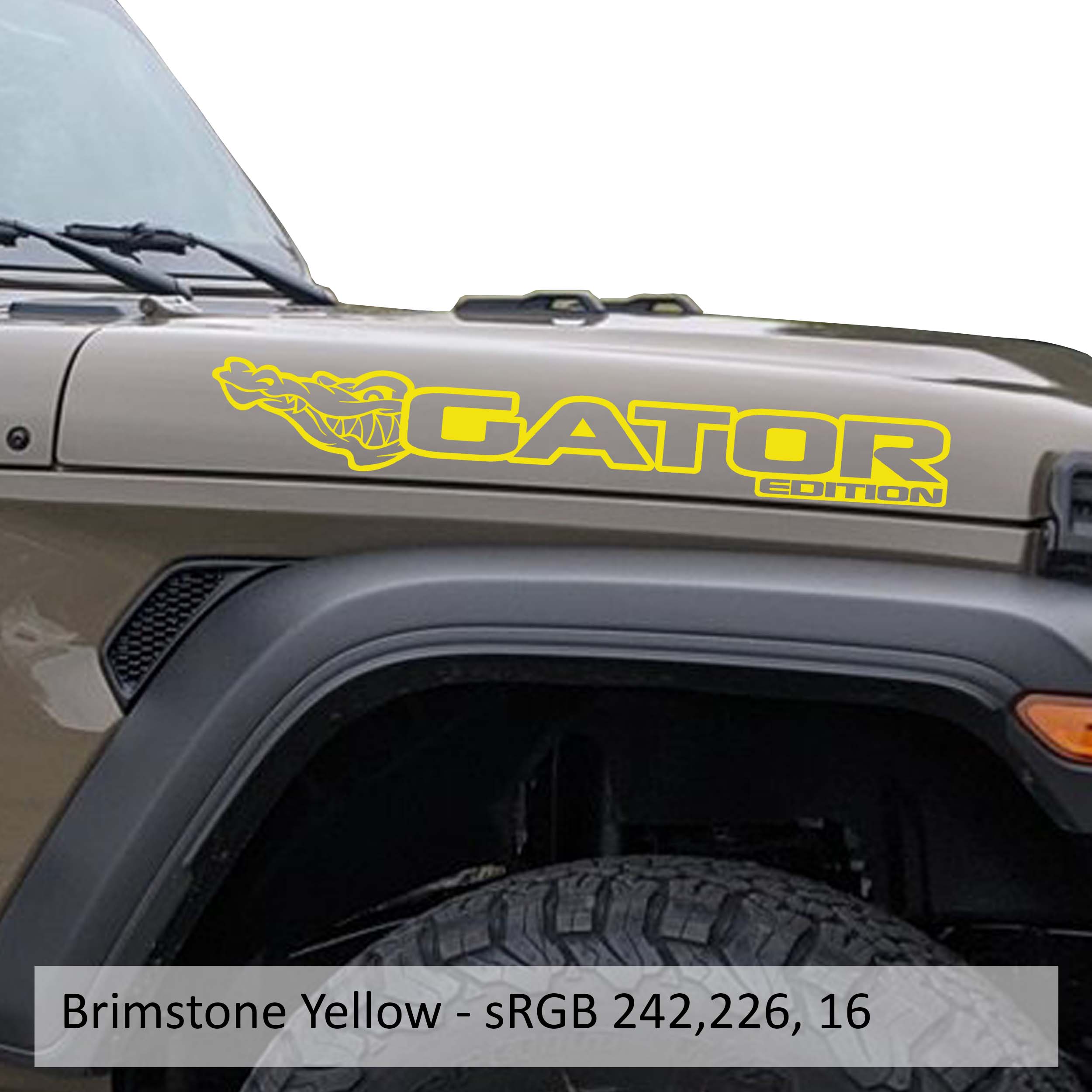 Gator Edition Jeep hood decal pair in brimstone yellow vinyl shown on a white studio backdrop image