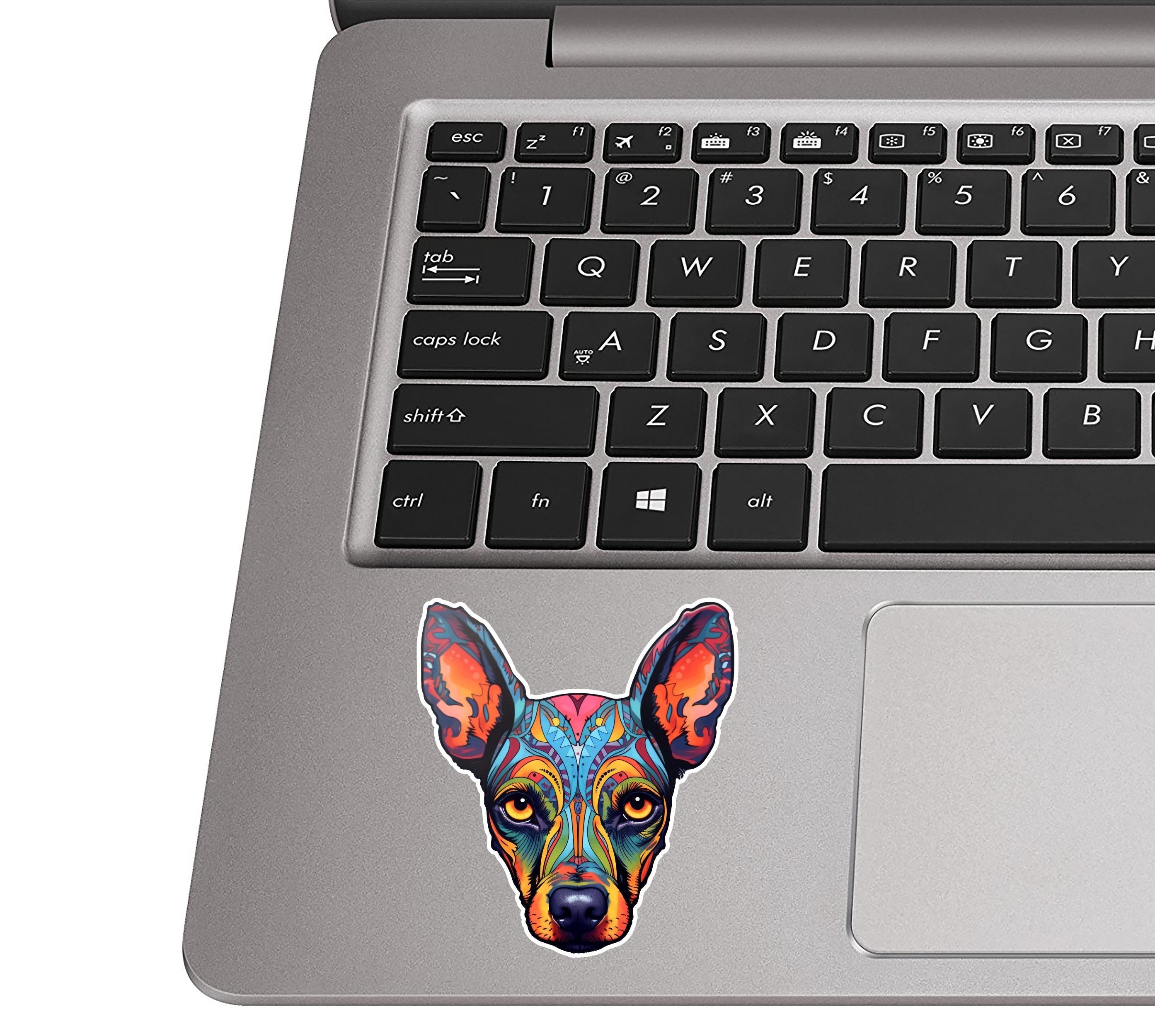 Sugar skull doberman pinscher decal on a silver laptop palm rest near a black QWERTY keyboard for scale