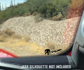 Jeep Windshield Bigfoot Easter Egg Companion Vinyl Decal