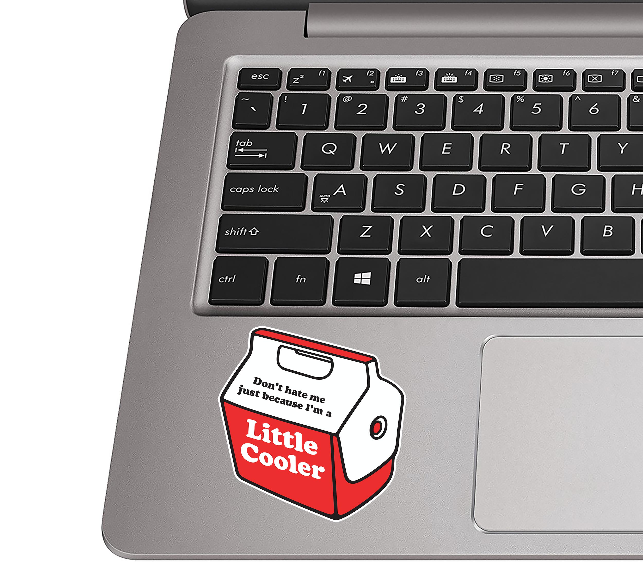 Little Cooler Funny Waterproof Vinyl Sticker